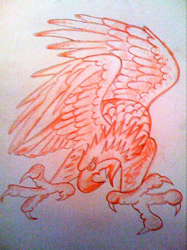 Red and orange colored pencil drawing of an eagle