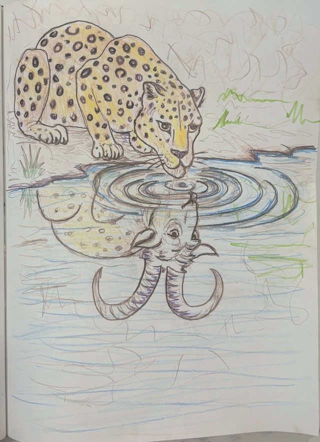 Leopard drinking with an elephant reflection