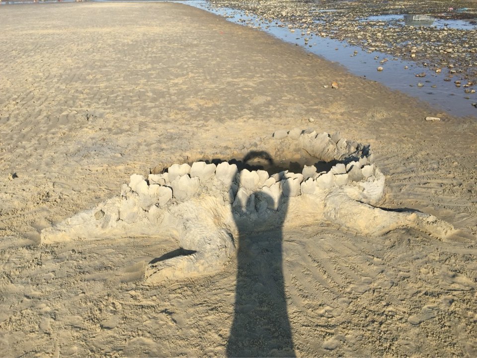 Sand alligator sculpture on a beach